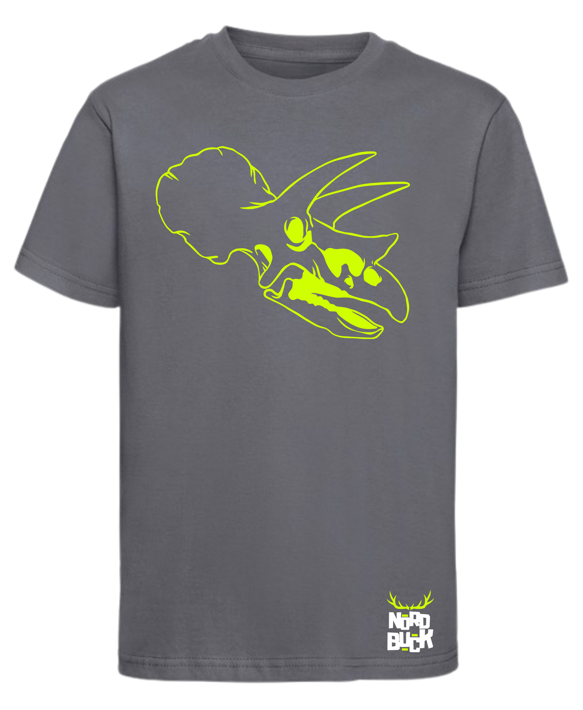 Toddlers Dinosaur Print Tee - Grey